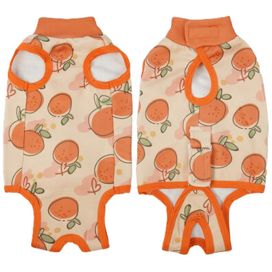 KOMBINEZON BODY REGENERACYJNE POOPERACYJNE DLA KOTA DENTRUN ORANGE ROZ. L